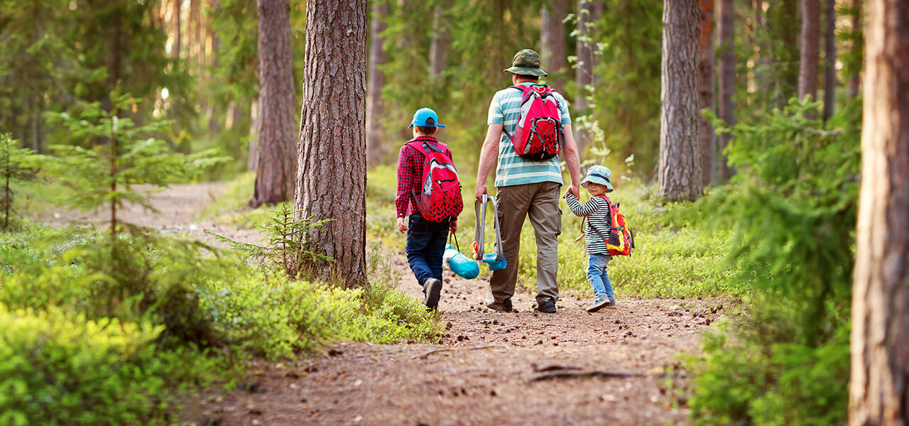 På upptäcktsfärd i blåbärsskogen – Tättö Camping | Havsbad och vandrarhem