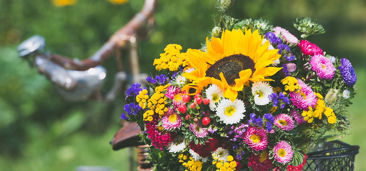 Midsommarfest på Tättö Havsbad - Start kl. 10